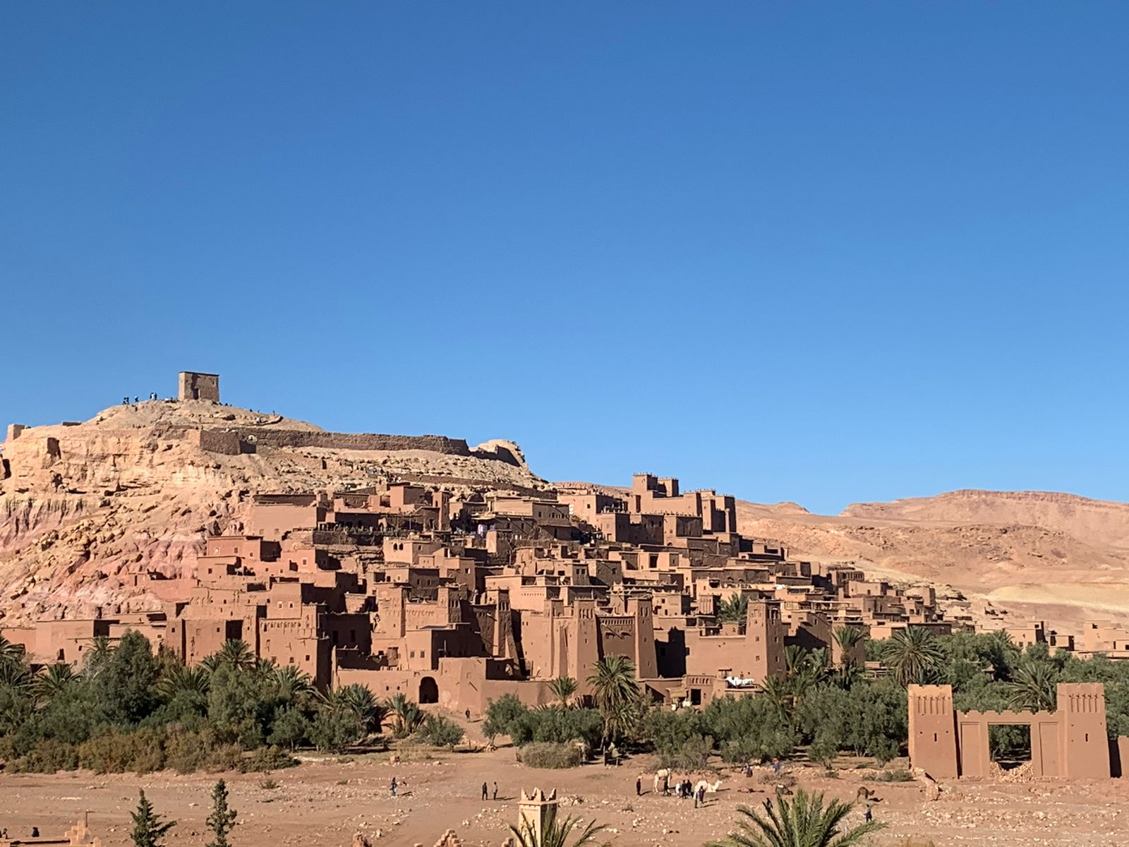 Lehmstadt Ait Ben Haddou auf einem Hügel mit traditionellen Gebäuden und Palmen im Vordergrund.