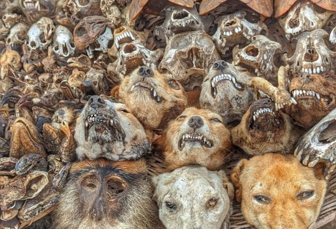 Togo | Akodessewa Fetish Market – zwischen Vodoo, Faszination, Irritation und Respekt | Beitragsbild