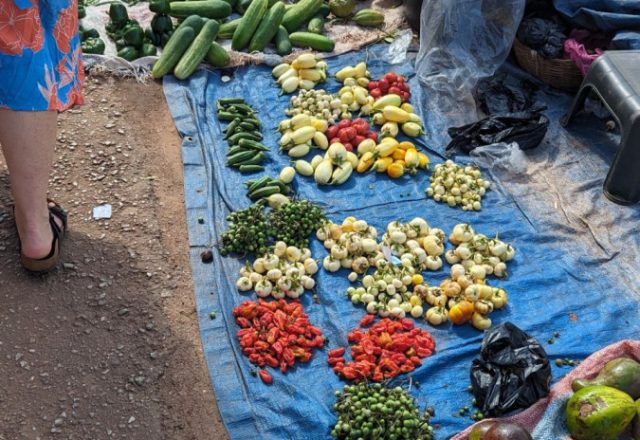 Ghana | Kumasi, Ghana: Eine lebendige Reise ins Herz Westafrikas | Beitragsbild