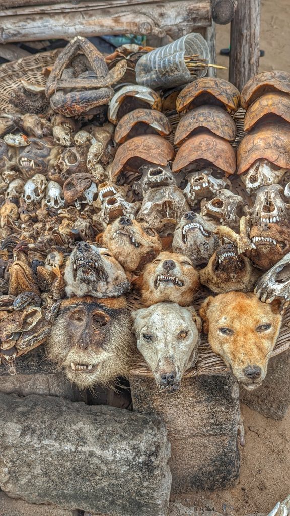 Verschiedene Schädel und Tiermasken am Akodessewa Fetisch Market in Togo.