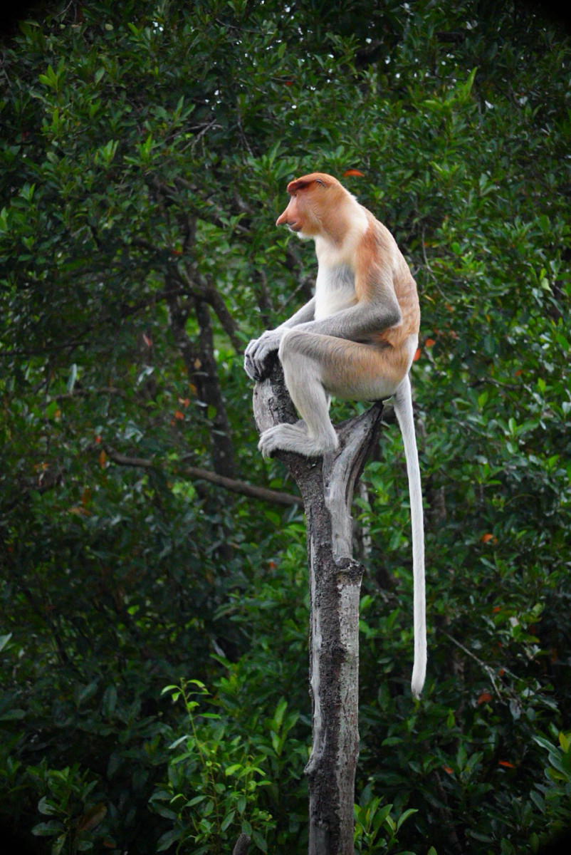 Malaysia