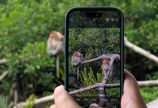 Malaysia | Sepilok & Sandakan – zwischen Baumkronen, Bananen und der Ahnung, dass weniger mehr und mehr manchmal einfach zu viel ist. | Beitragsbild