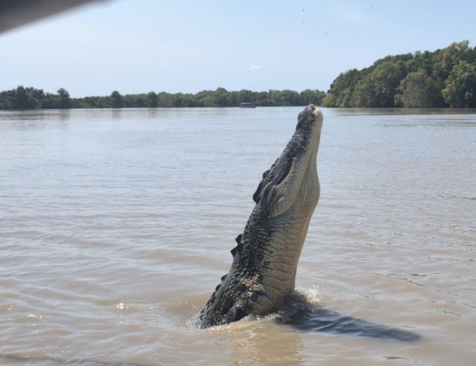 Australien | Jumping Crocs am Adelaide River | 02
