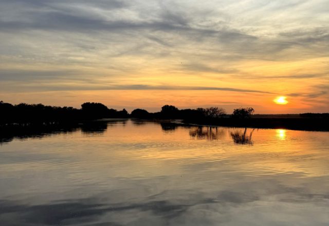 Australien | Kakadu – Krokodile, Kunst & ein Sonnenaufgang im Billabong | Beitragsbild