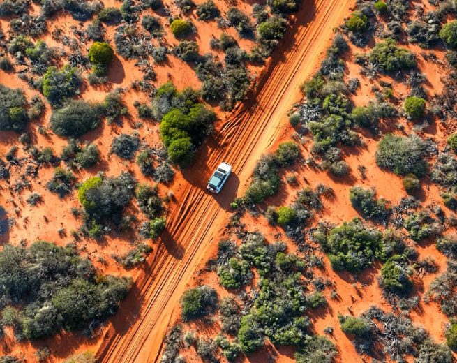 Australien | Von zahmen Delfinen zu rotem Outback-Meer | Beitragsbild