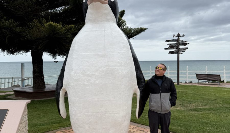 Australien | Penguin – kleine Stadt, grosse Sympathie | Beitragsbild