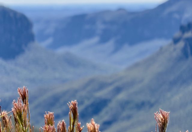 Australien | Blue Mountains – Fernblick, Eukalyptus und ein Wasserfall, der einfach läuft | Beitragsbild
