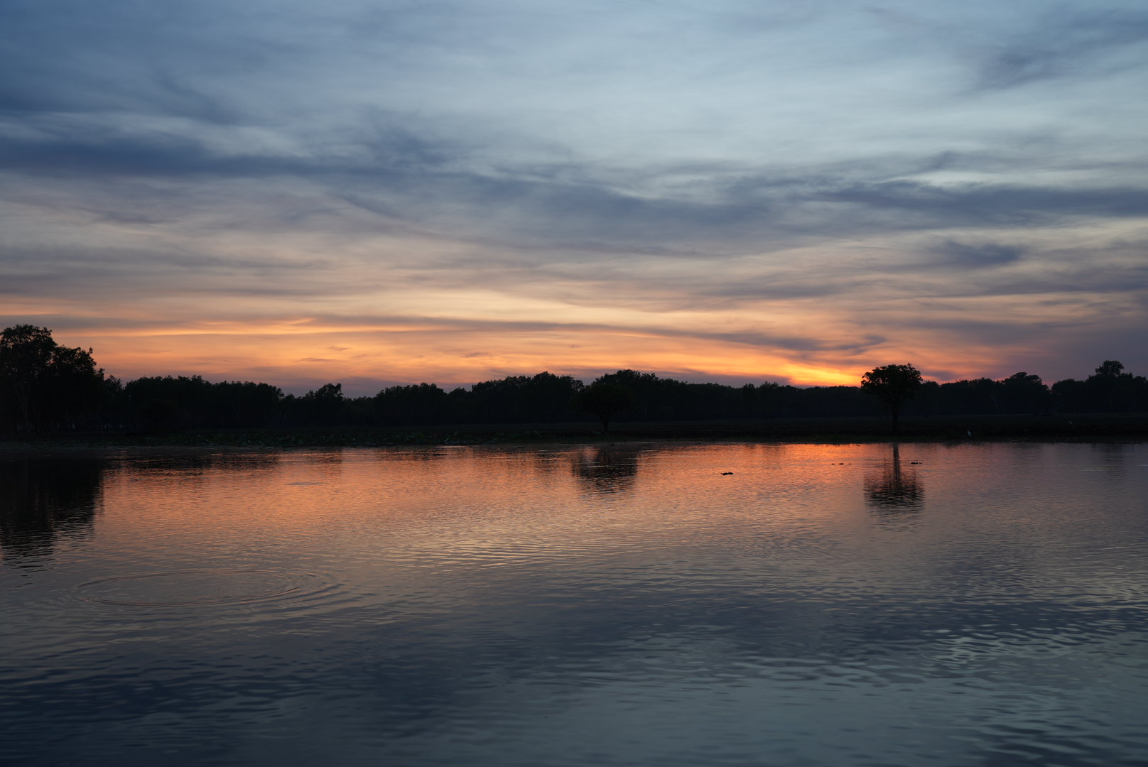 Naturpanorama am Fluss bei Sonnenuntergang in Australien.