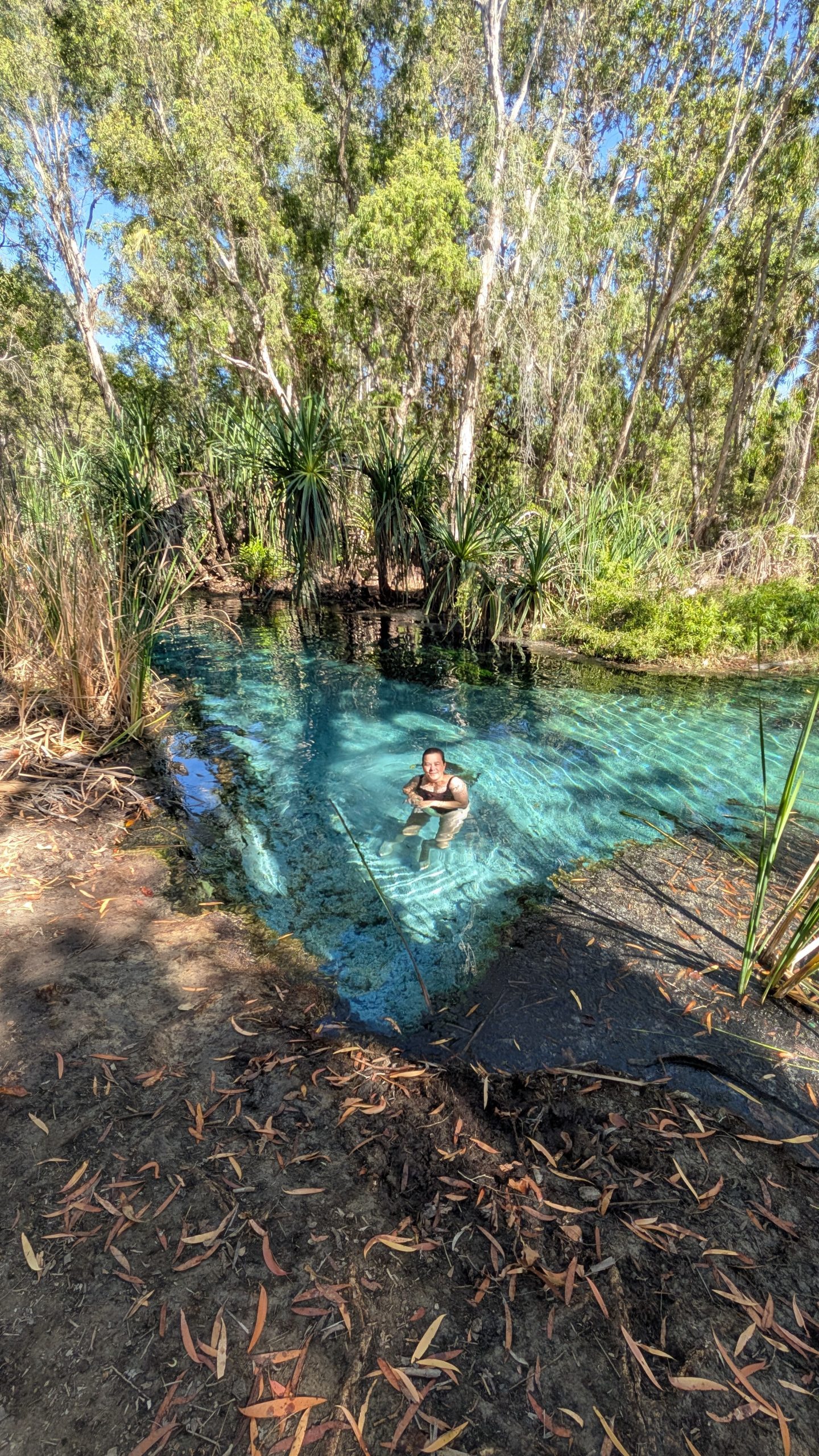 Bitter Springs in Australien, ein natürlicher Warmwasserkanal, ideal zum Baden und Entspannen in der.