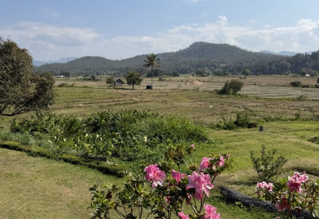 Thailand | Mae Hong Son Loop – Kurven, Kaffee und dieses Dauergrinsen im Helm | Beitragsbild