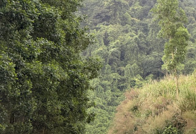Vietnam | Ho Chi Minh Road – von Khe Sanh nach Phong Nha | Beitragsbild