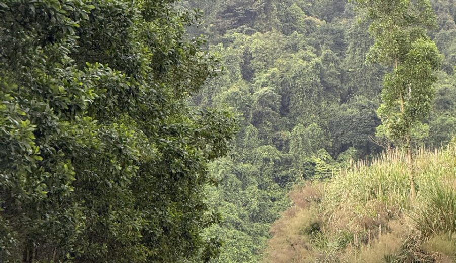 Vietnam | Ho Chi Minh Road – von Khe Sanh nach Phong Nha | Beitragsbild