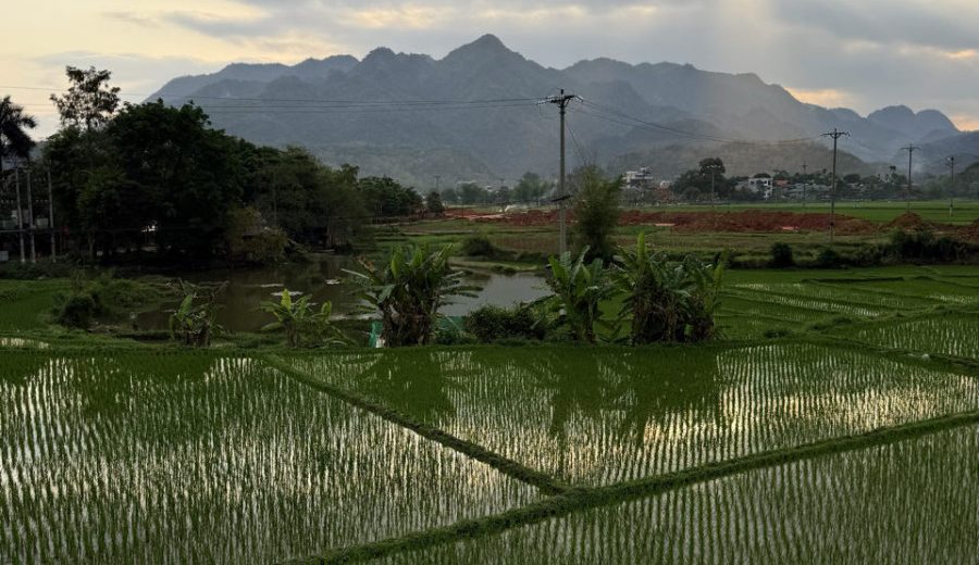 Vietnam | Von Pù Luông nach Mai Châu – kurze Etappe, genau richtig | 04