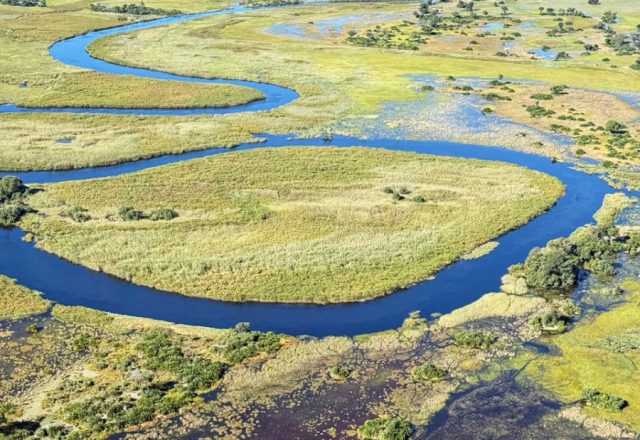 Botswana | Okavango Delta – Sumpf, Insel und Perspektivenwechsel | Beitragsbild