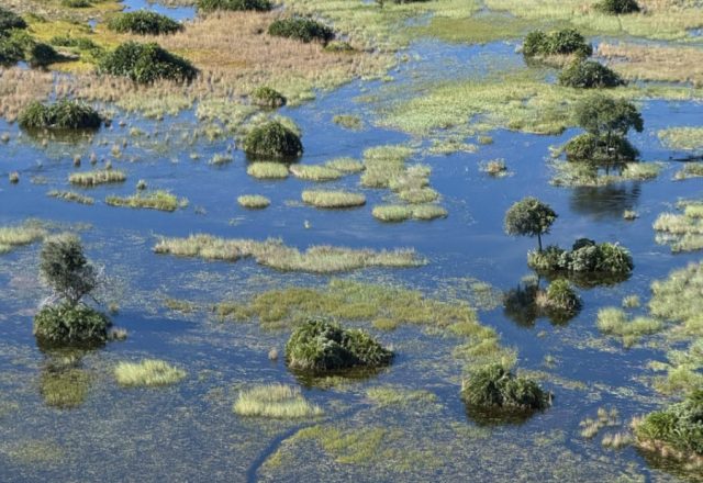 Botswana | Okavango Delta – Sumpf, Insel und Perspektivenwechsel | 31