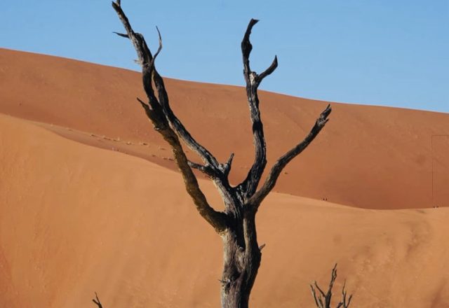 Namibia | Sossusvlei – lange Fahrt, frühe Dünen und Sand überall | Beitragsbild