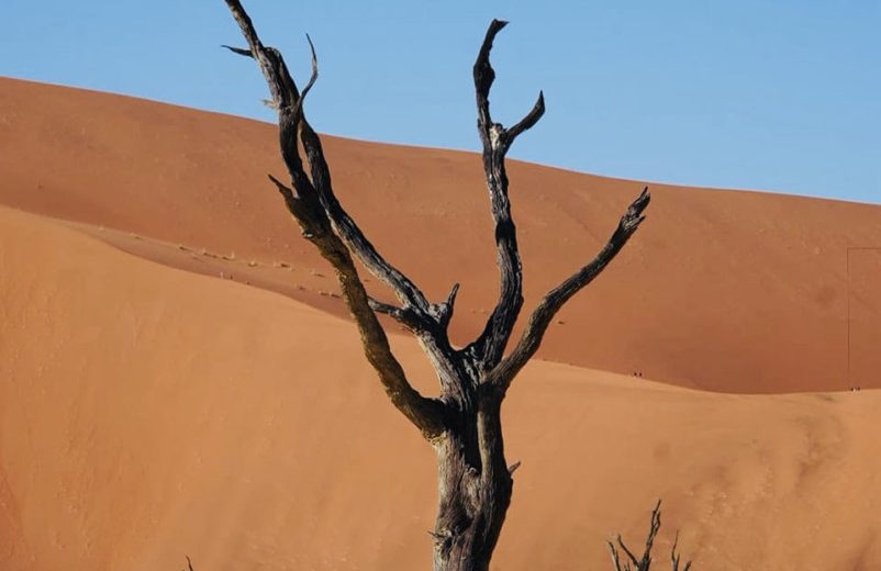 Namibia | Sossusvlei – lange Fahrt, frühe Dünen und Sand überall | Beitragsbild